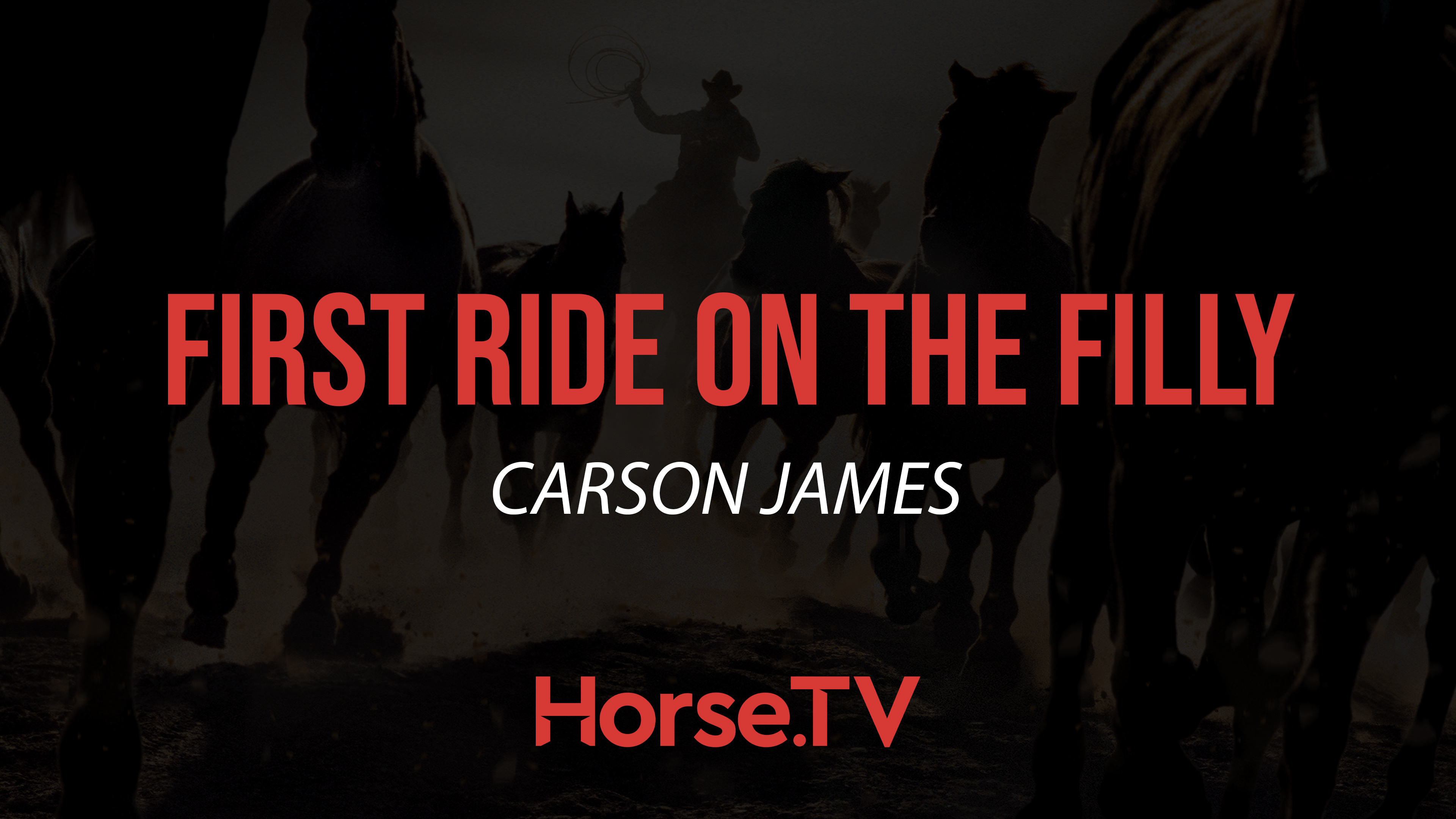 First Ride On The Filly