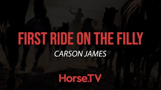 First Ride On The Filly