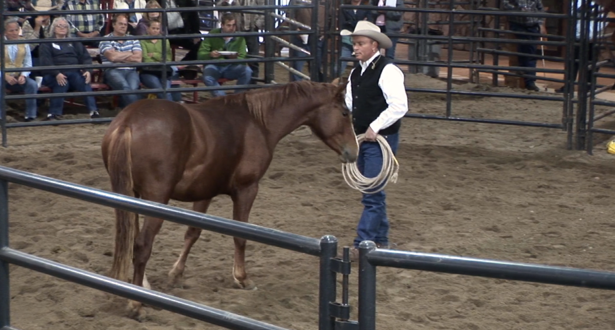 Episode 01 | Starting Prince - Part 1