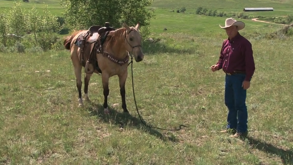 Episode 12 | Ground Tie