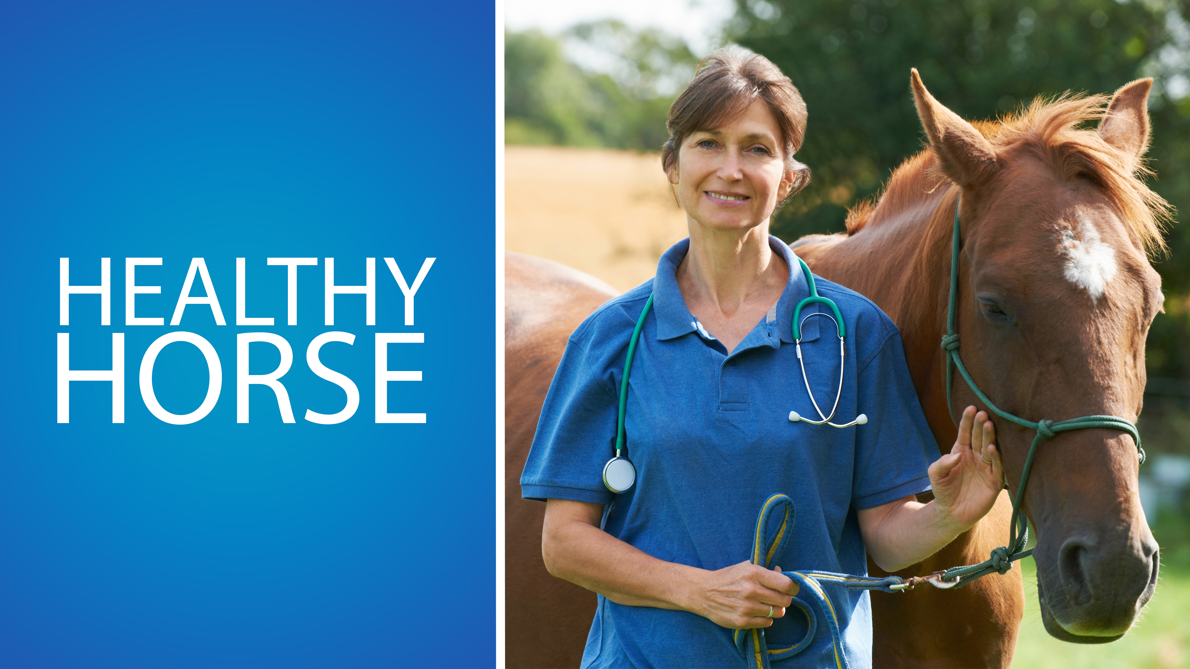 Healthy Horse