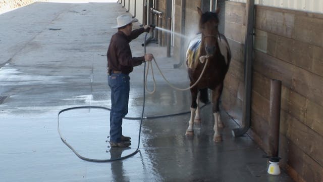 Episode 08 | Wash Rack