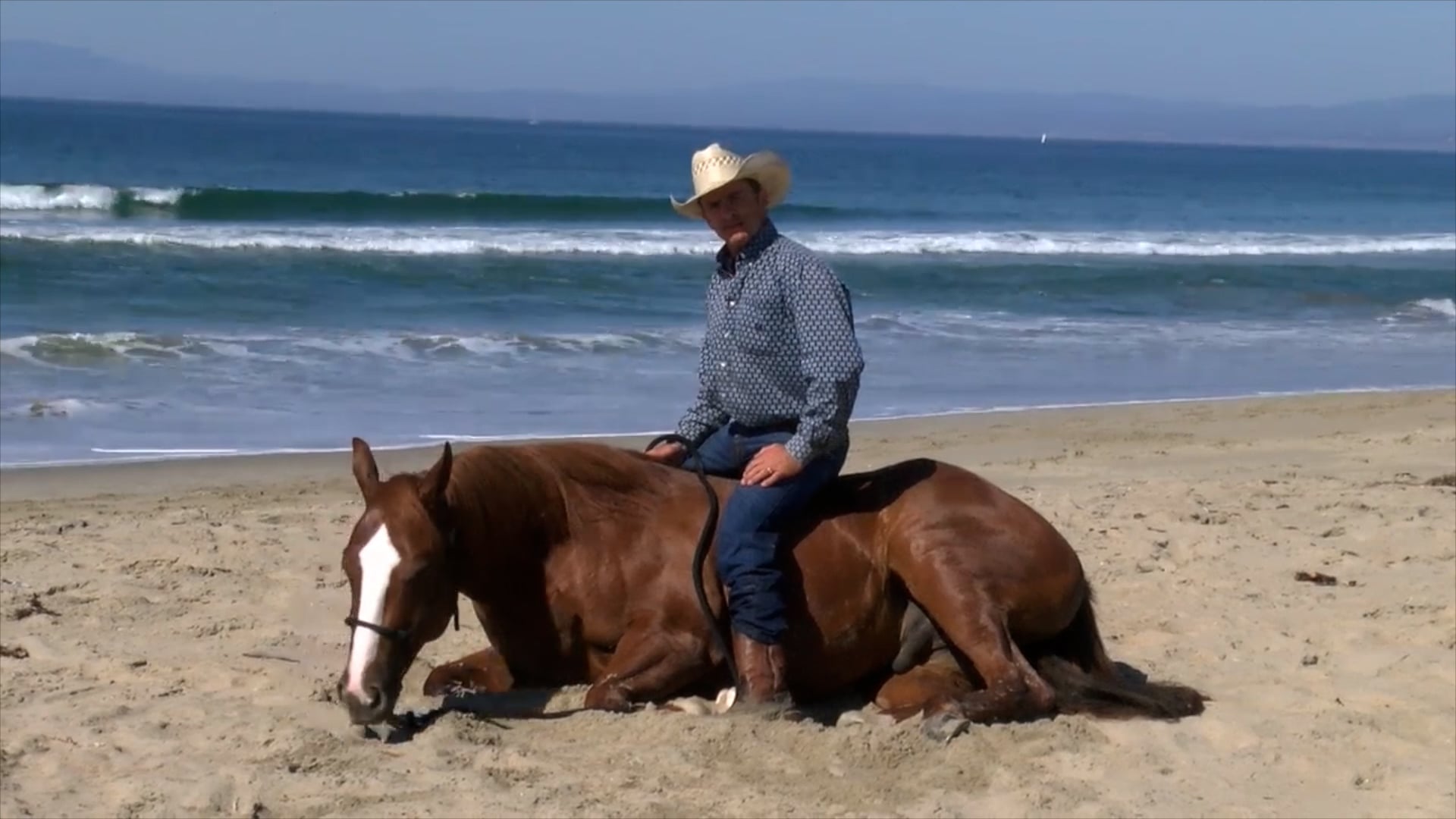 They Need To Know The Answer