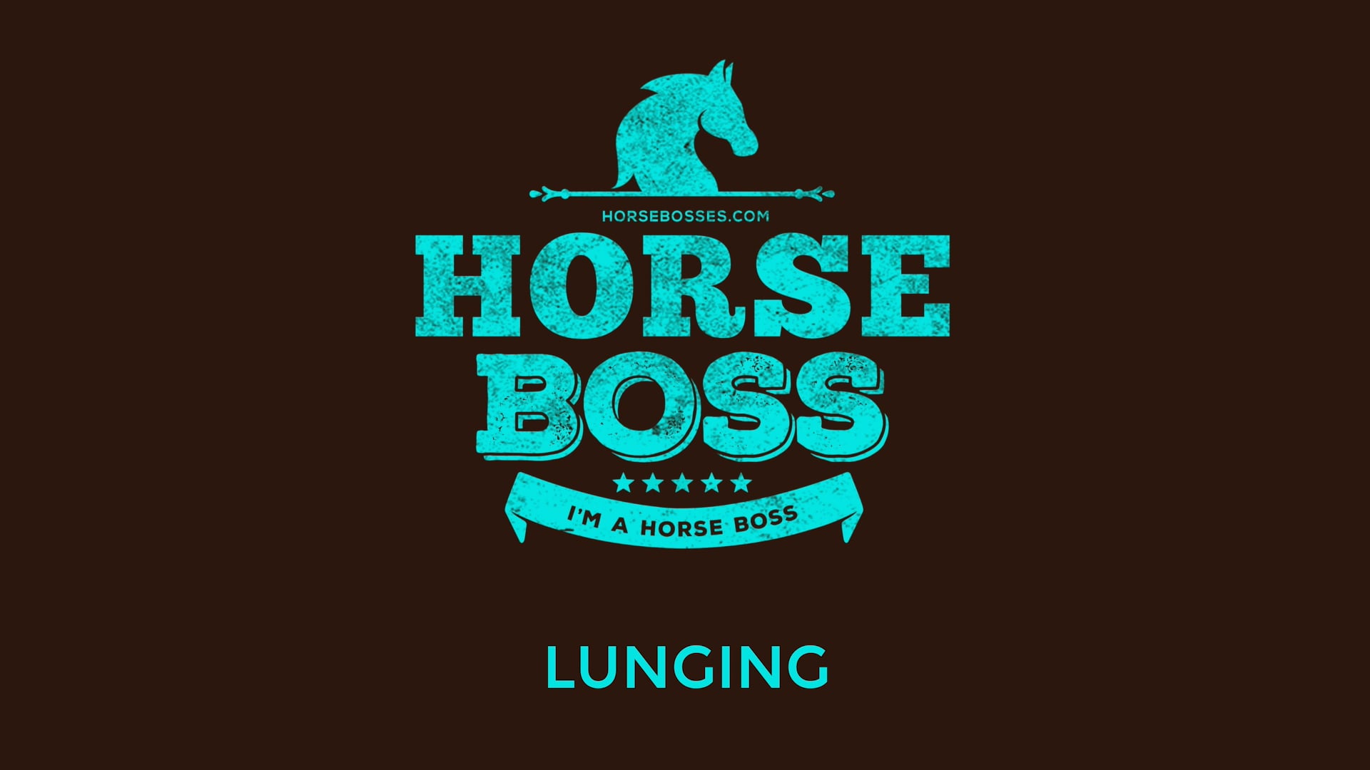 Lunging Your Barrel Horse