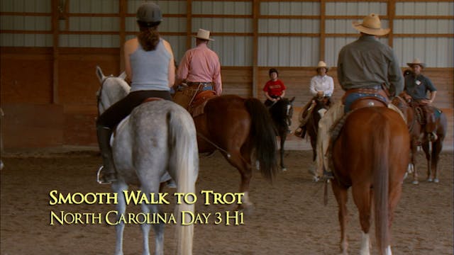 Walk & Trot Transitions