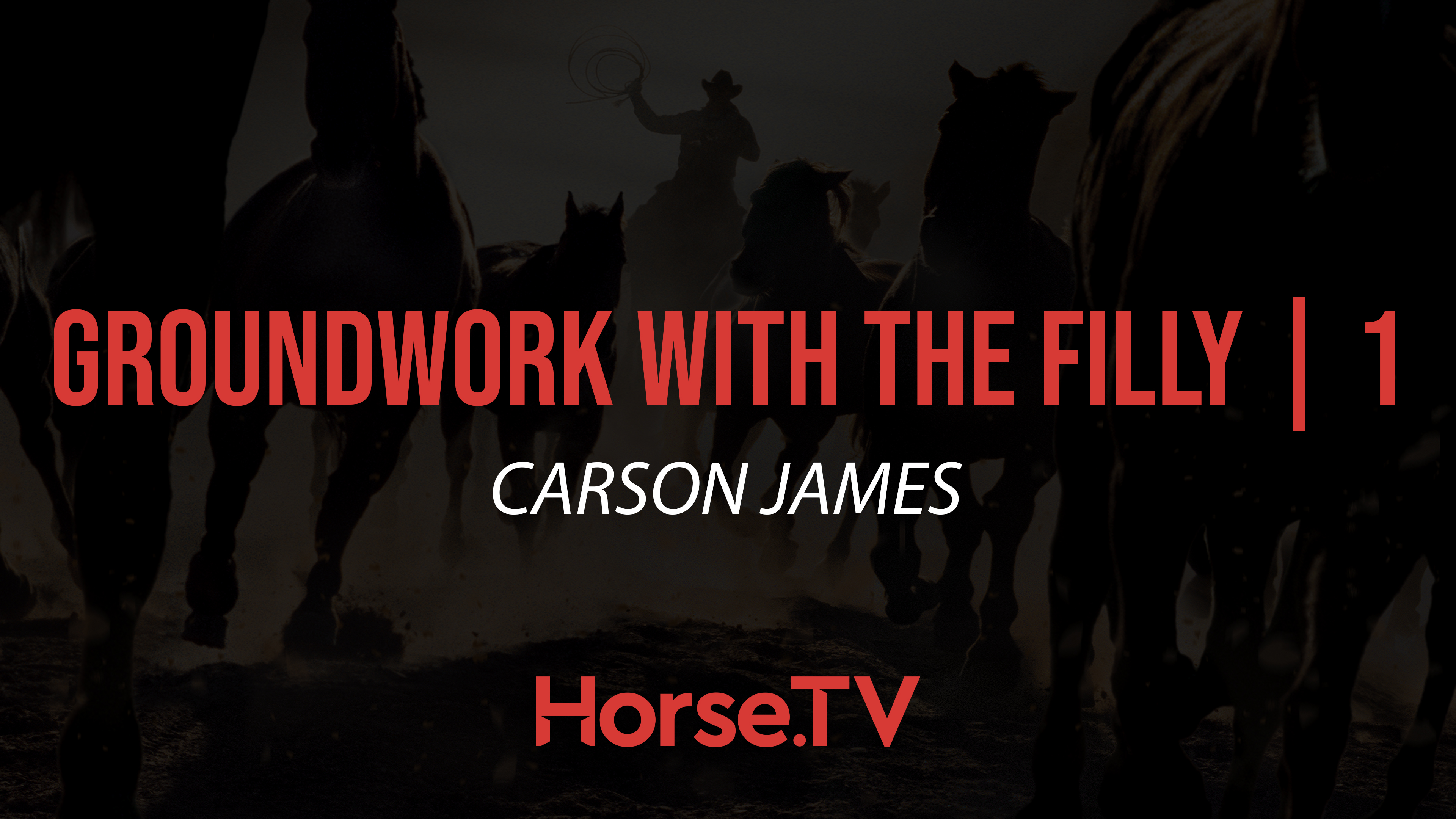 Groundwork With The Filly |1