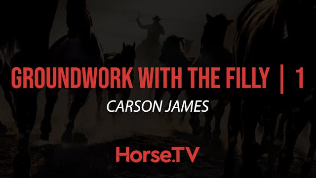 Groundwork With The Filly |1