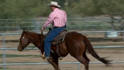 Episode 05 | Speed Control