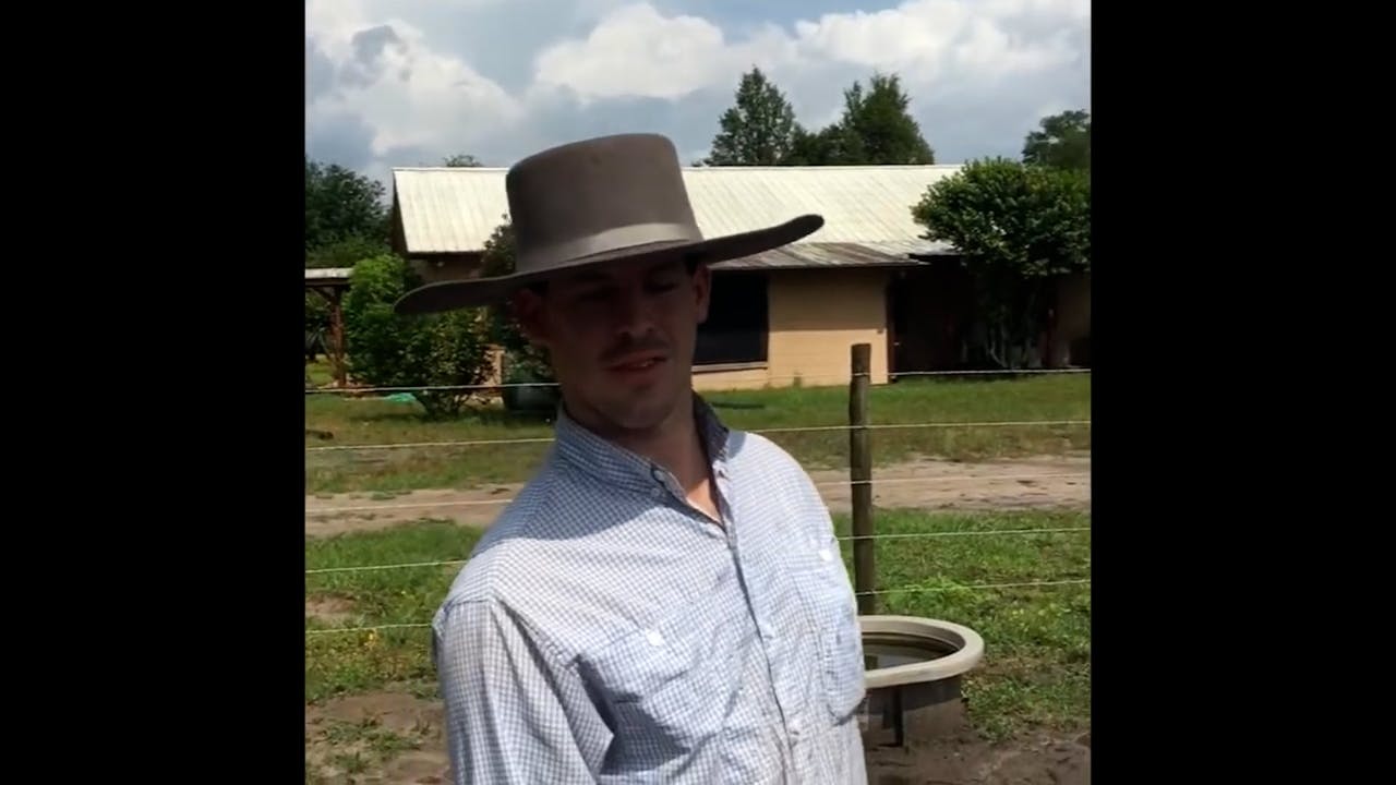 Desensitizing To Water Horse.TV