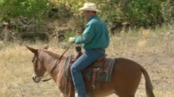 Episode 02 | Mules - Pt 2