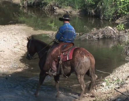 Episode 05 | Water Crossing