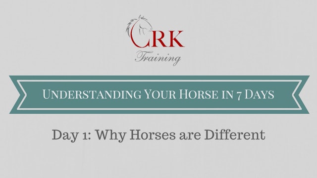 Why Horses Are Different