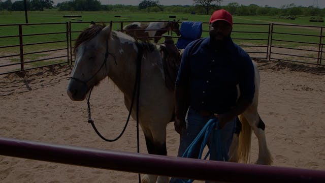 Climbing Into The Saddle