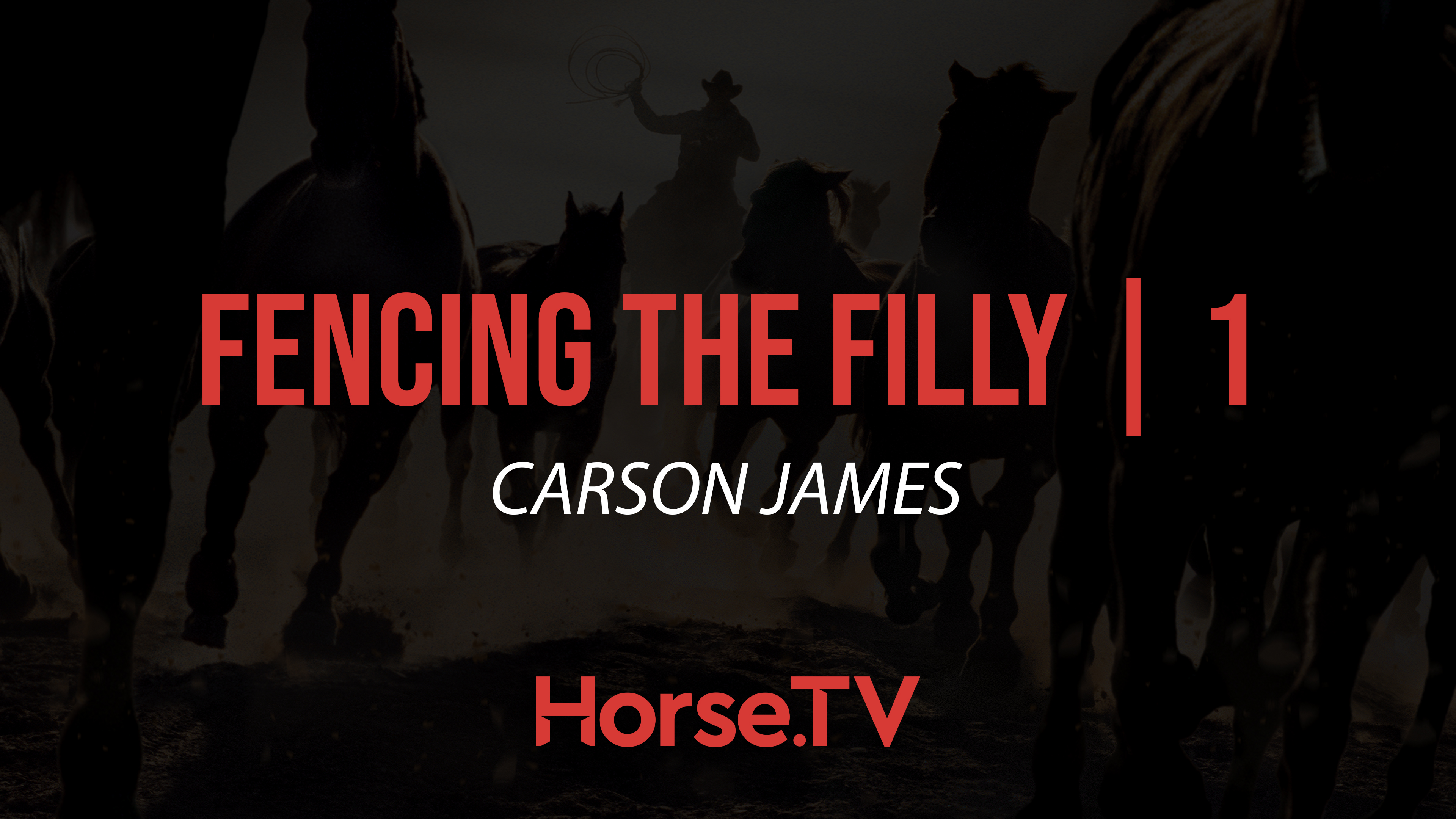 Fencing The Filly |1