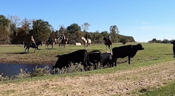 7 IL Ranch | Texas