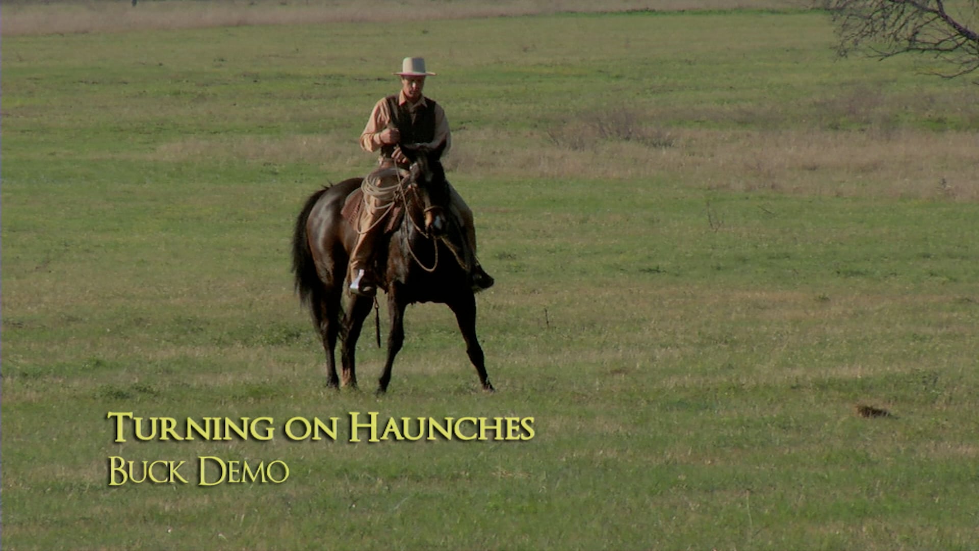 Turning On The Haunches Demo