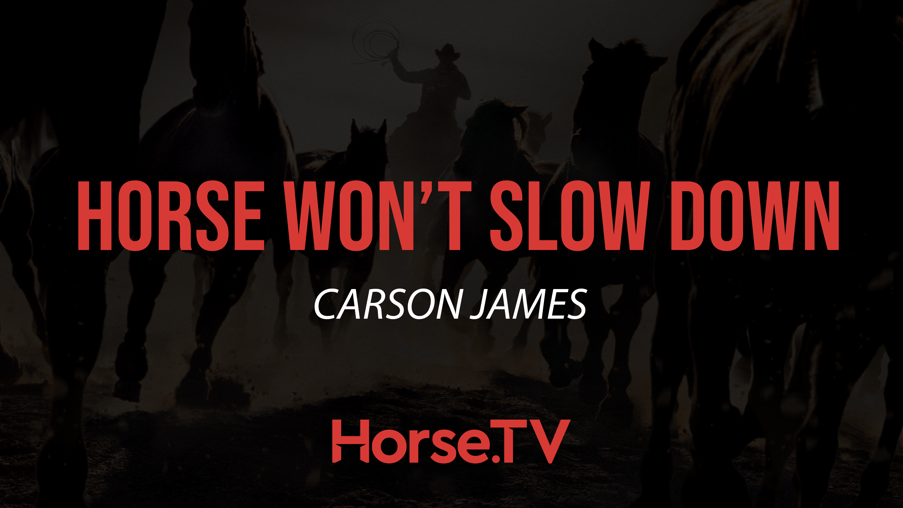 Horse Won't Slow Down