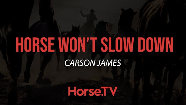 Horse Won't Slow Down