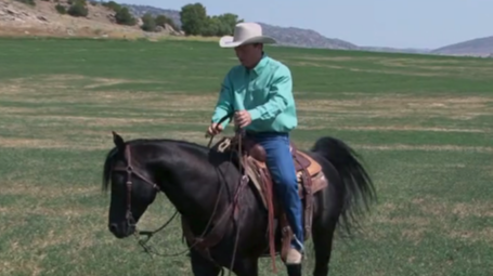 Episode 01 | Light Hands