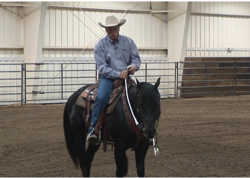 Episode 11 | Applied Riding - Pt 1