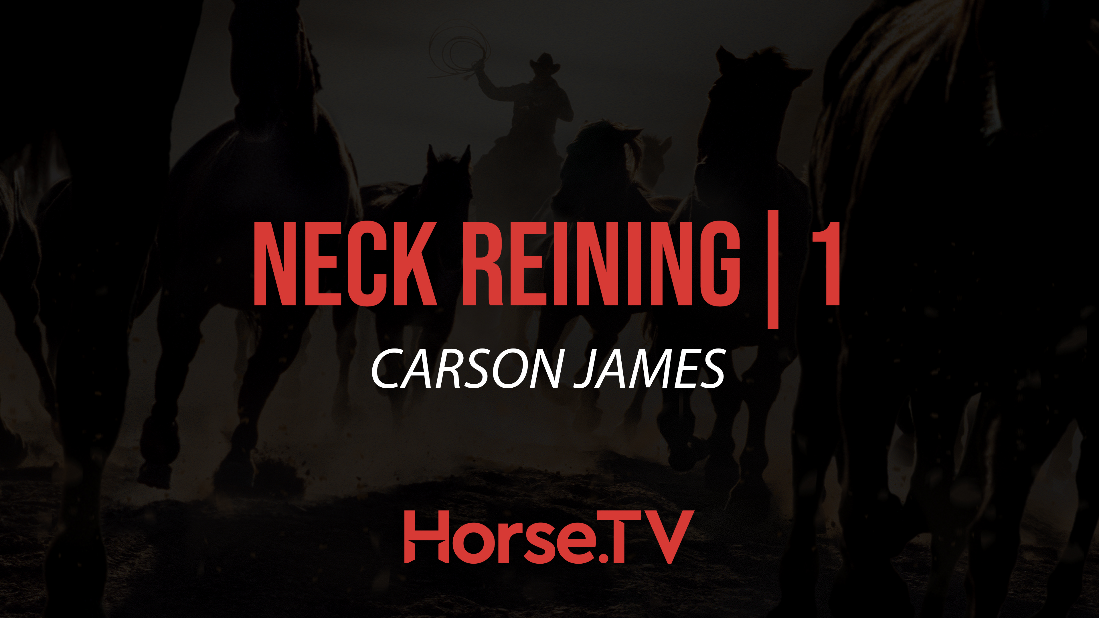 Neck Reining |1