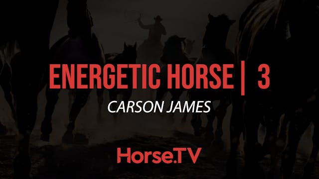 Energetic Horse |3
