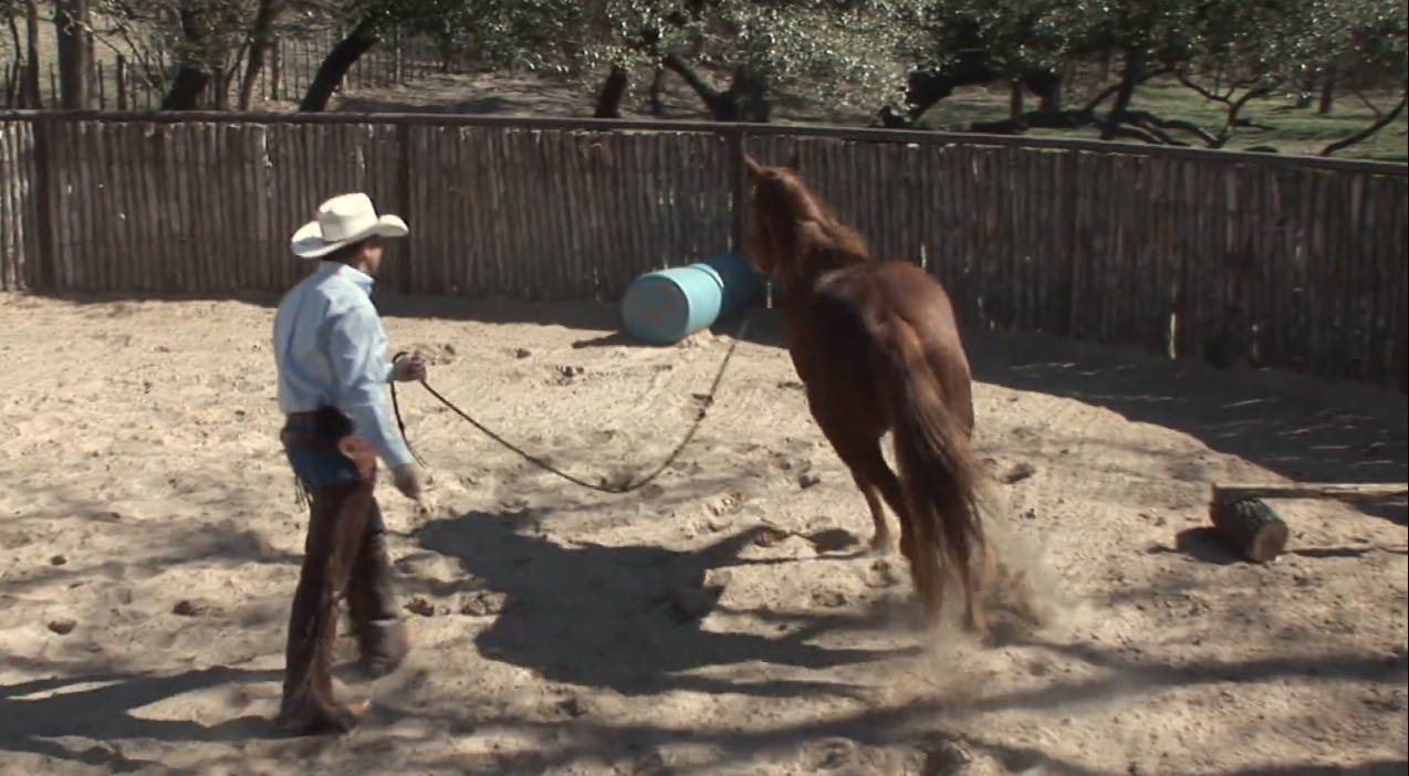 Episode 11 | Colt Start withTy Murray - Pt 5