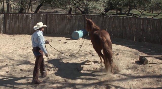 Episode 11 | Colt Start withTy Murray...