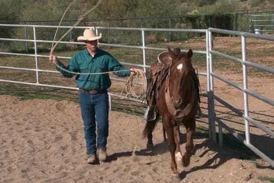 Episode 01 | Roping