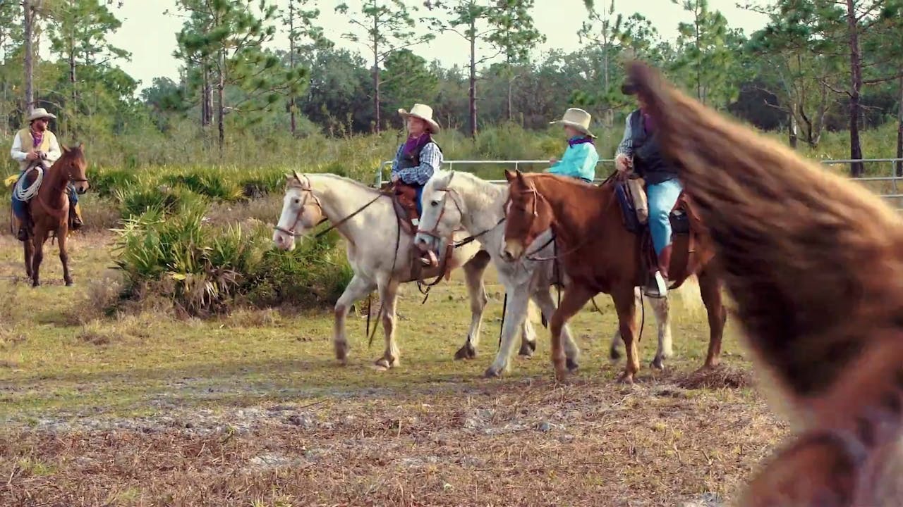 Florida Cattle Drive Trailer Horse.TV