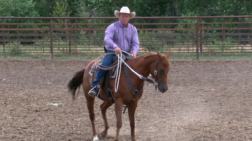 Episode 10 | Seat and Legs