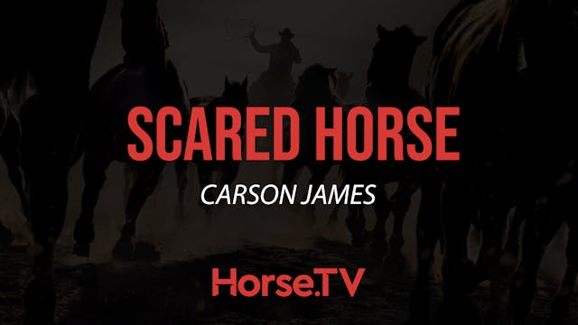 Scared Horse