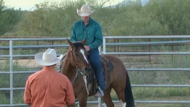 Episode 02 | What's In It For The Horse