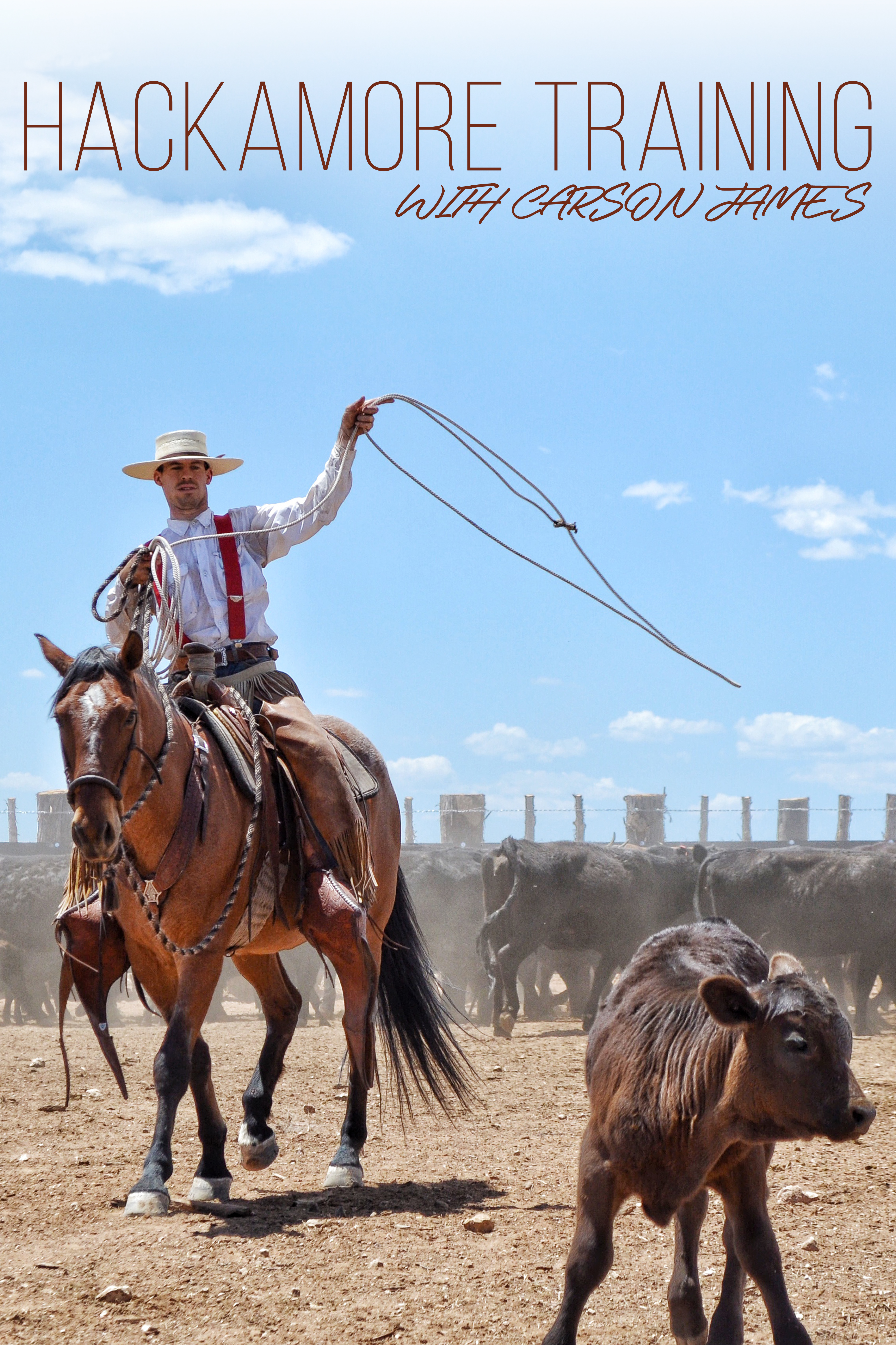 Hackamore Training | Carson James