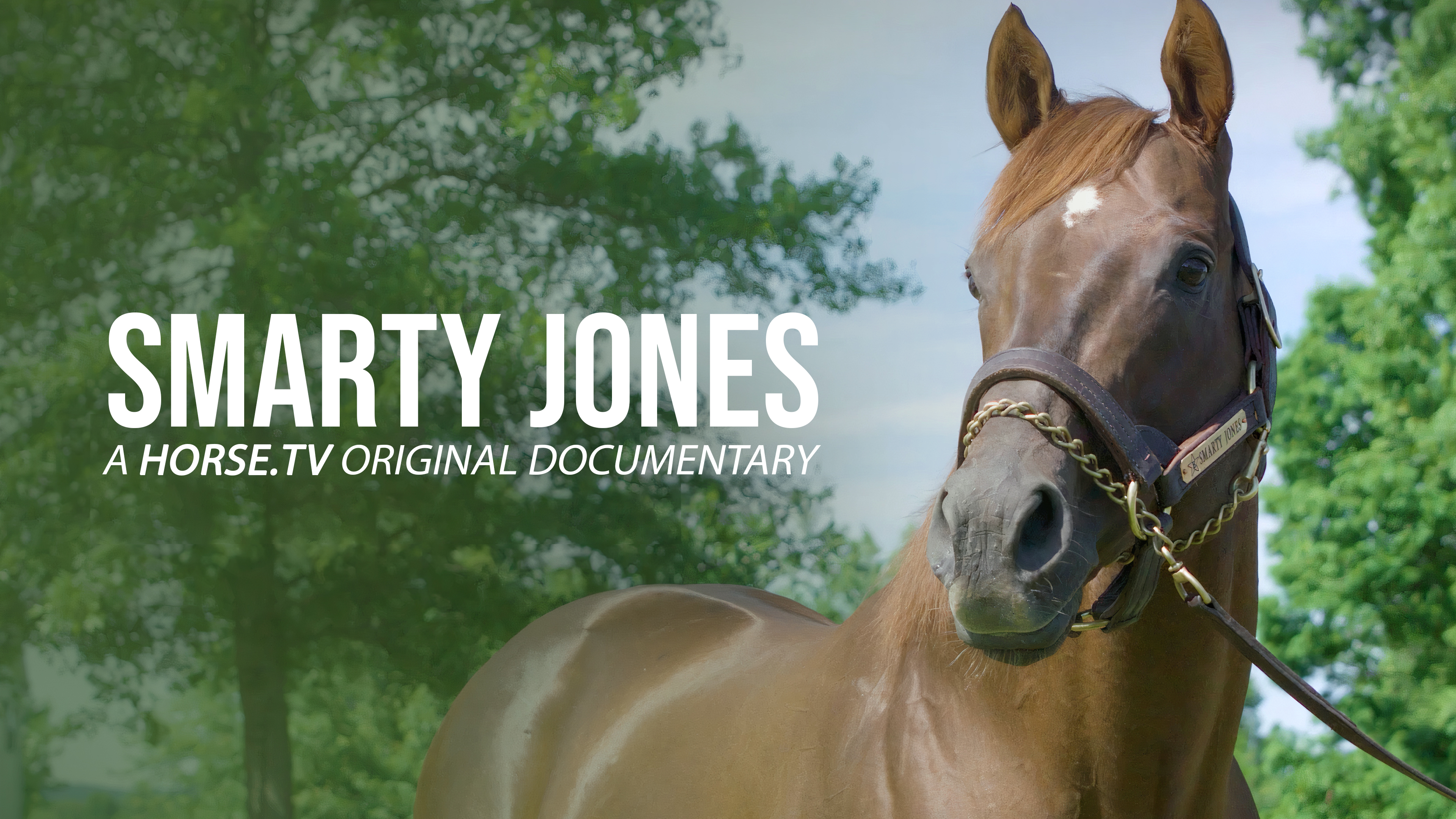 Smarty Jones