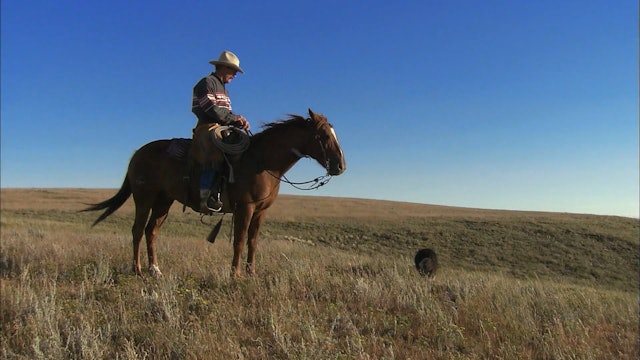 Cowboy Country - Episode 7