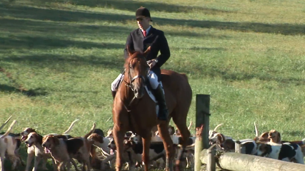 Episode 12 | Fox Hunting Day