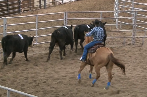 Episode 10 | The Sorting Game