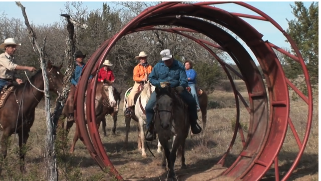 Episode 02 | Companion - Pt 1