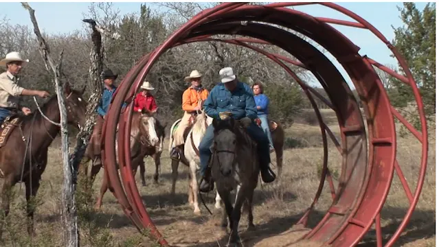 Episode 02 | Companion - Pt 1