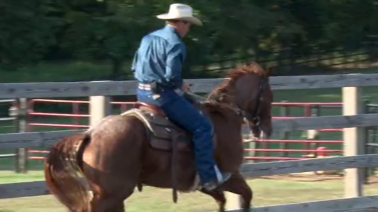 Episode 04 | Simplifying the Lope