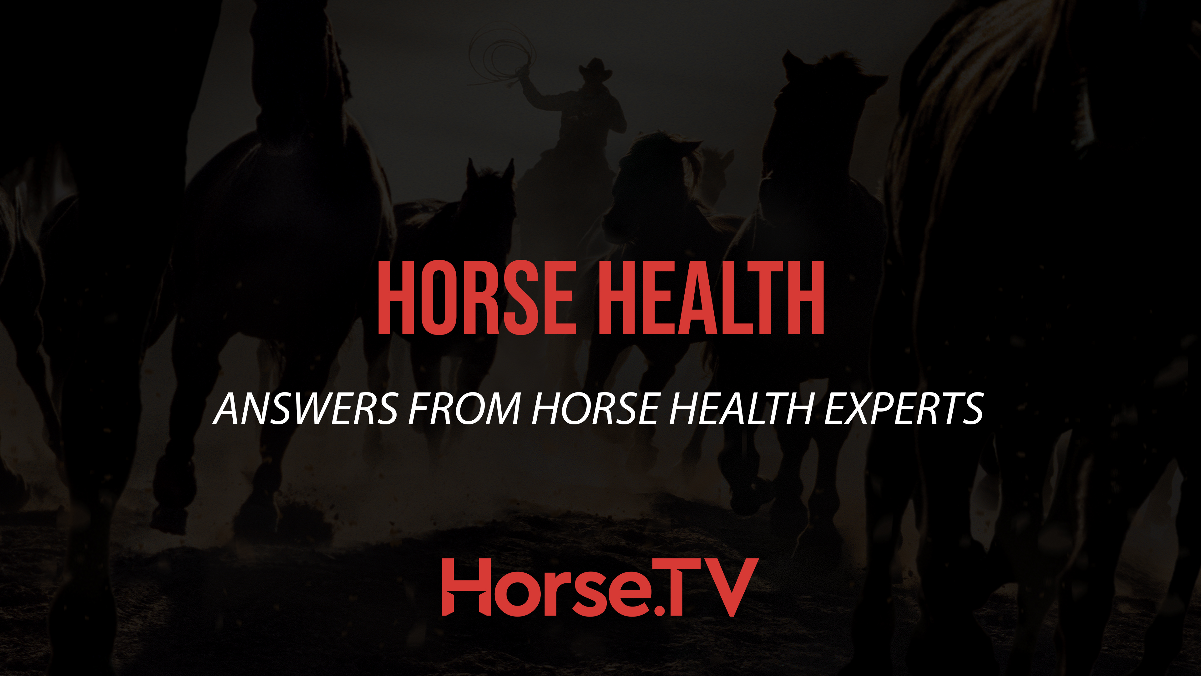 Horse Health Horse.TV