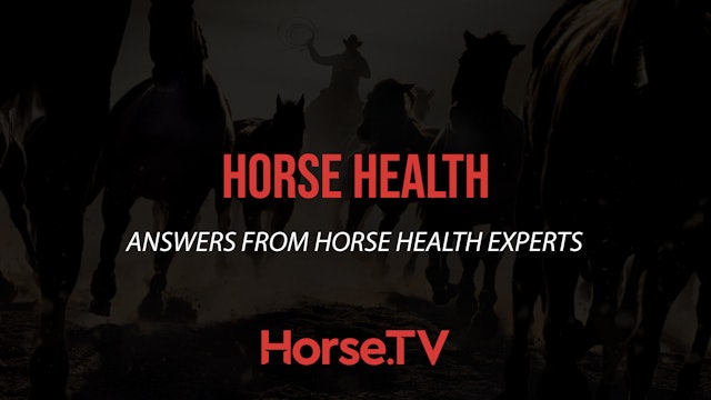 Horse Health