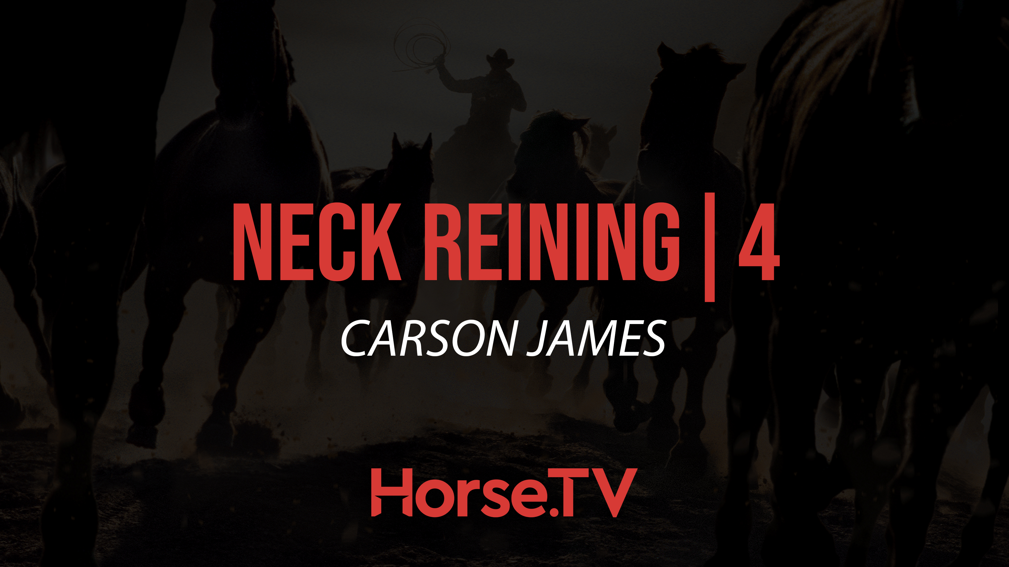 Neck Reining |4