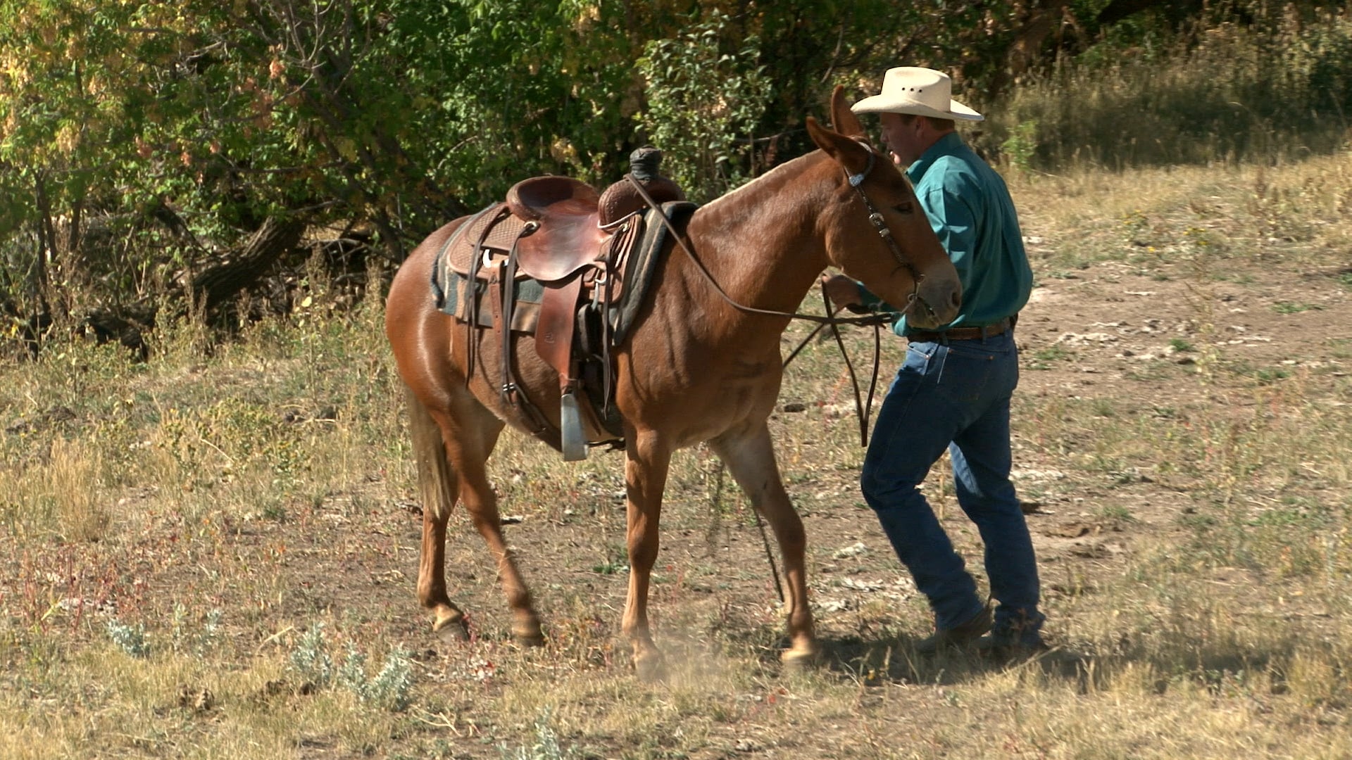 Episode 01 | Mules - Pt 1