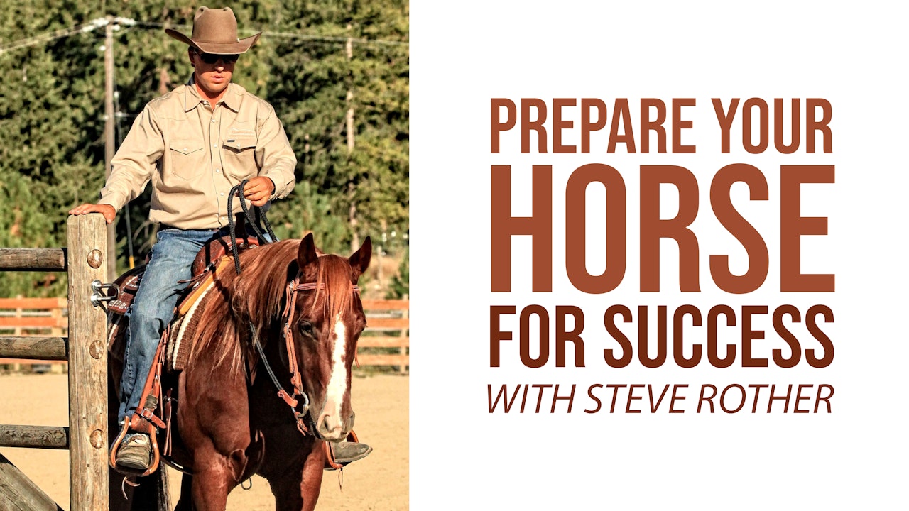 Prepare Your Horse For Success