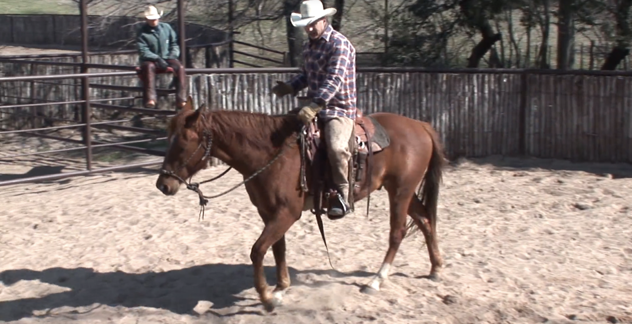 Episode 10 | Colt Start with Ty Murray - Pt 4