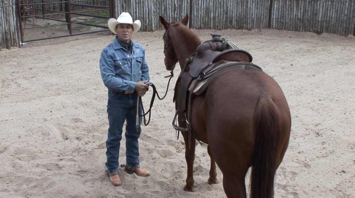 Episode 04 | Checking Your Horse