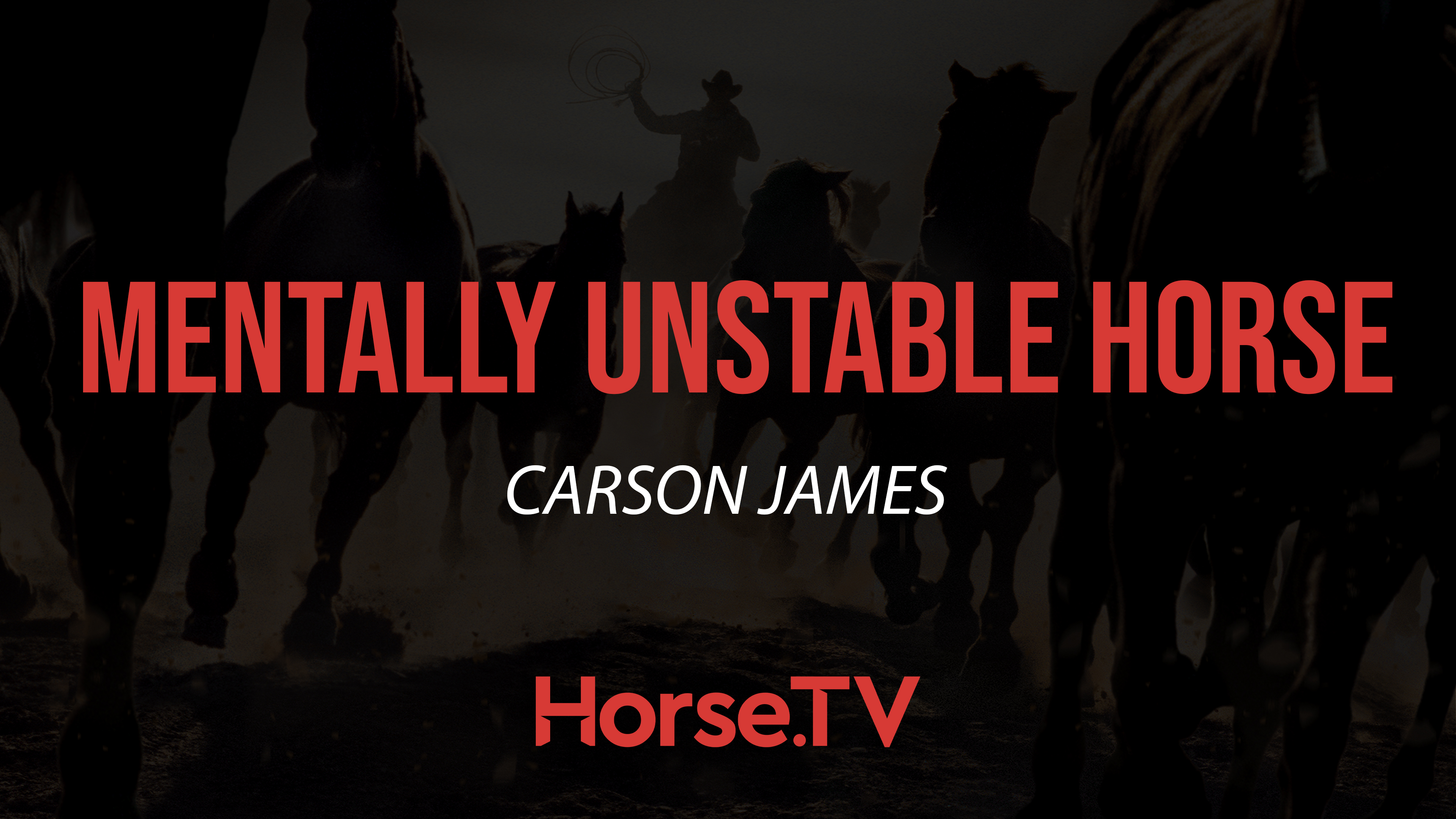 Groundwork With A Mentally Unstable Horse