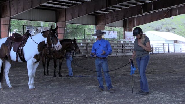 Bolting Horse